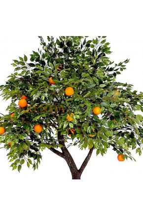 Искусственное дерево с апельсинами муляж