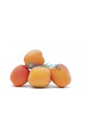Искусственный абрикос муляж
