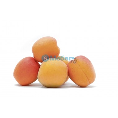 Искусственный абрикос муляж