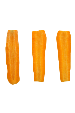Муляжи ломтиков моркови под заказ