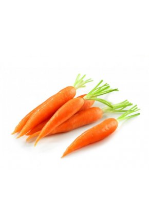 Искусственная морковь муляж