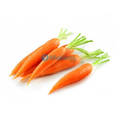 Искусственная морковь муляж