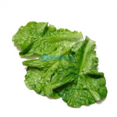 Искусственный лист салата муляж