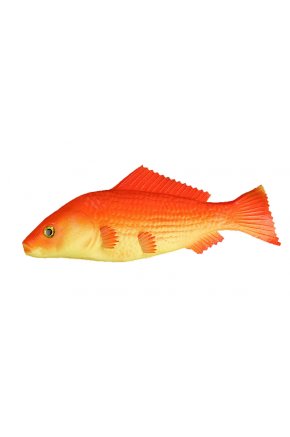 Муляж оранжевой рыбы барбус